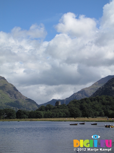 SX23491 Tower poking behind trees by Llyn Padarn by Llandberis